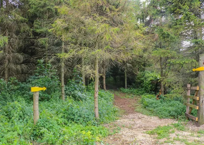 Nyaraló Wayside York